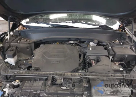 2020 Kia Telluride Lx z USA, uszkodzony, nr VIN 5XYP2DHC4LG012567